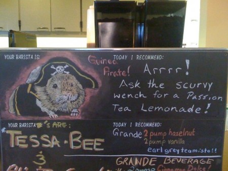 Guinea Pirate geeky cafe art