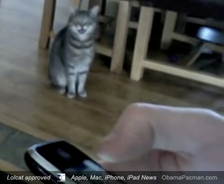 Lolcat Apple