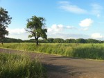 Landscape, First Apple iPhone 4 Photos Video