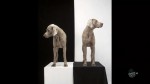 William Wegman Dog Art Photography
