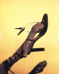 William Wegman Dog High Heels Fashion
