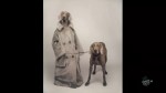 William Wegman Dog trench coat walk portrait