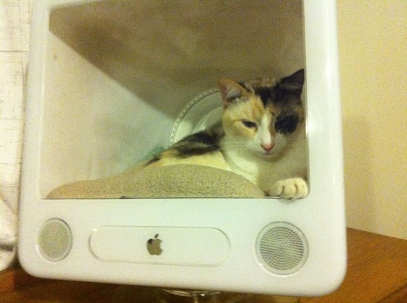 Old Mac Recycle Cat House