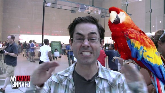 Apple Store Mark Malkoff Parrot