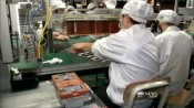 Apple foxconn factory