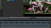 Photoshop Layers Final Cut Pro X